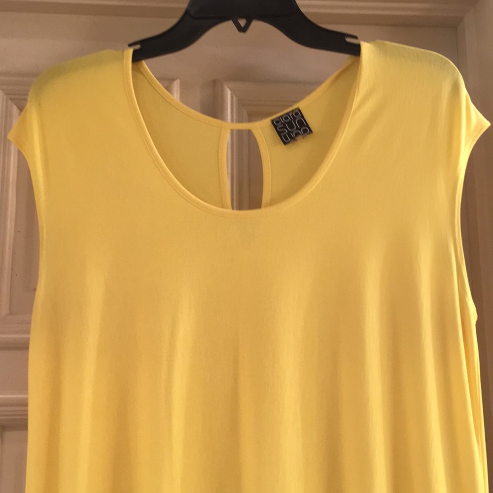 Ciara Sun tunic/dress - Picture 5 of 5
